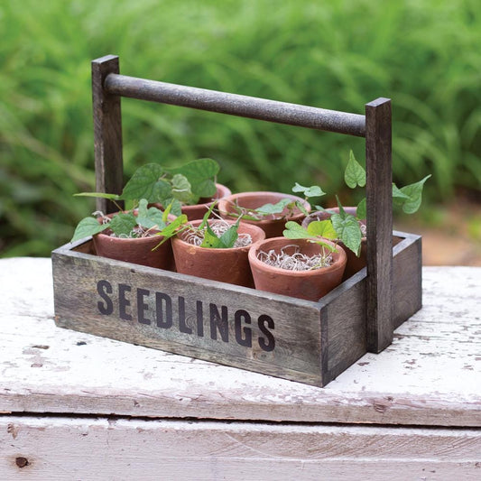 Seedling Pots Caddy with Terra Cotta Pots