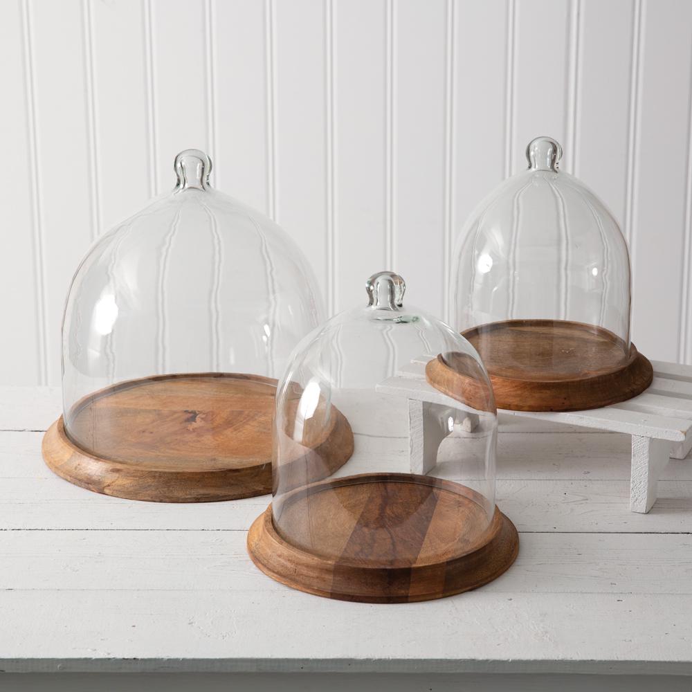 Glass Bell Cloche with Wood Base