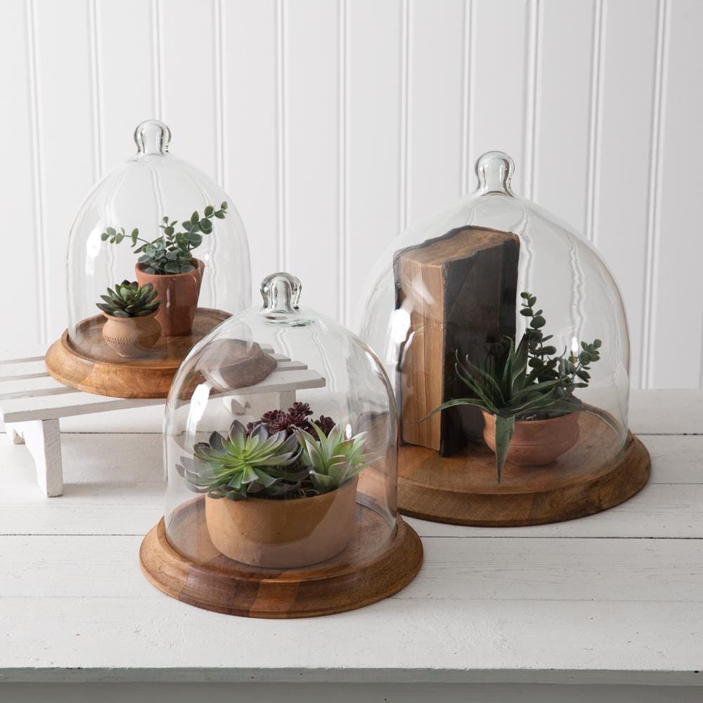 Glass Bell Cloche with Wood Base