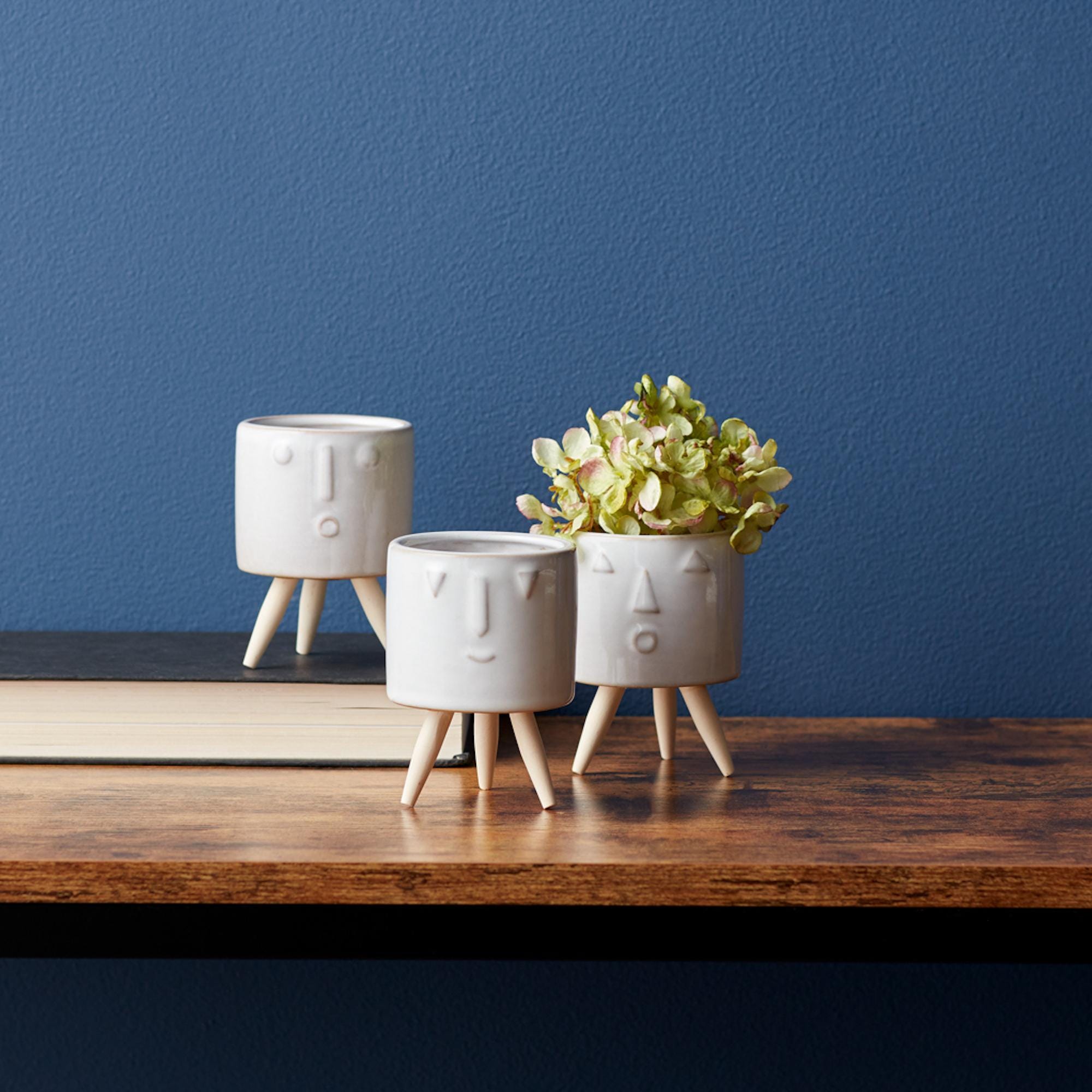 Small Face Planter Set with Wooden Legs (3 Pots)