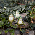 Rustic Stone Frog Shelf Sitters – Garden Decor Set of 3