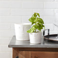 White Ceramic Face Planters Set of 2