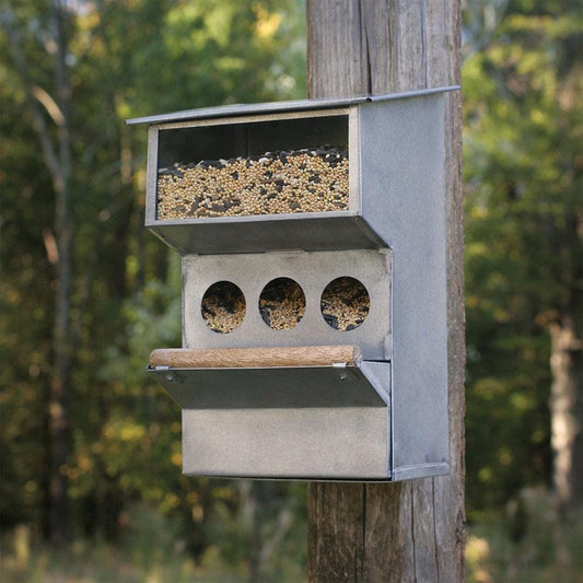 Backyard Buddies Bird Feeder – Rustic Hanging Garden Feeder