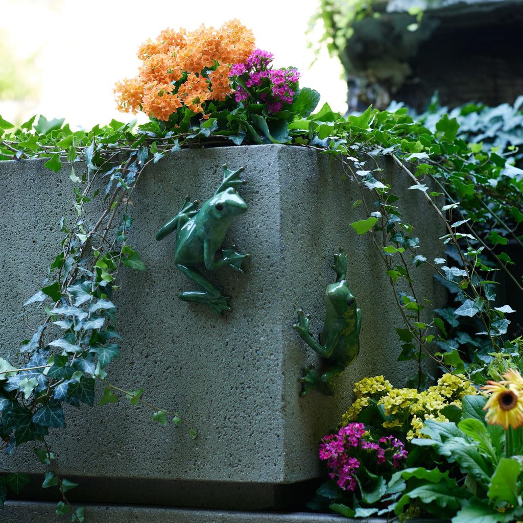 Hanging Garden Frog Set of 2