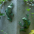 Hanging Garden Frog Set of 2